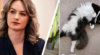 TikTok hield locatie katten-account Britse journalist in de gaten