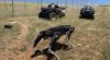 VS wil robothonden inzetten aan grens met Mexico