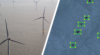 Slimme software telt vogels in windparken op zee