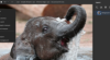 Adobe test webversies van Photoshop en Illustrator