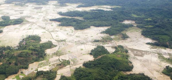 Dit bedrijf wil met satellietbeelden ontbossing tegengaan