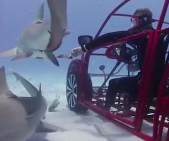Speciale Kever rijdt onder water rond als haaienkooi
