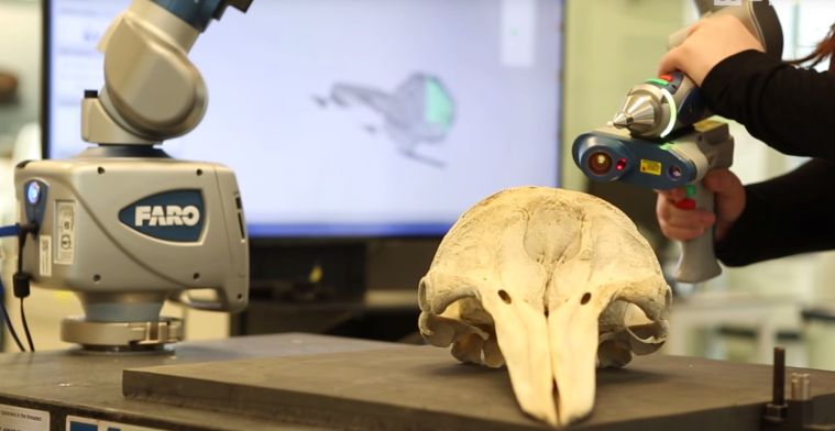 Digitale musea brengen dino-fossielen tot leven