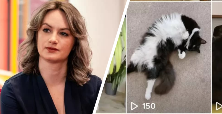 TikTok hield locatie katten-account Britse journalist in de gaten