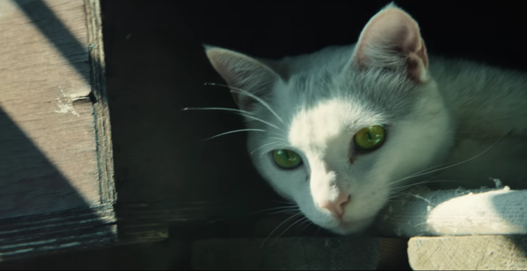Video: 3 trailers voor game Tom Clancy's Ghost Recon: Wildlands