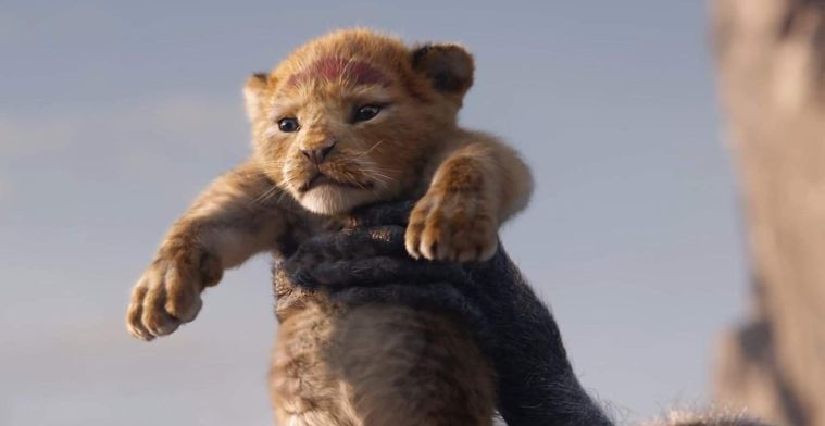 Excuses Disney aan school die boete kreeg voor tonen The Lion King