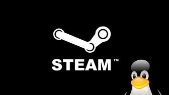 Gameplatform Steam komt naar Linux