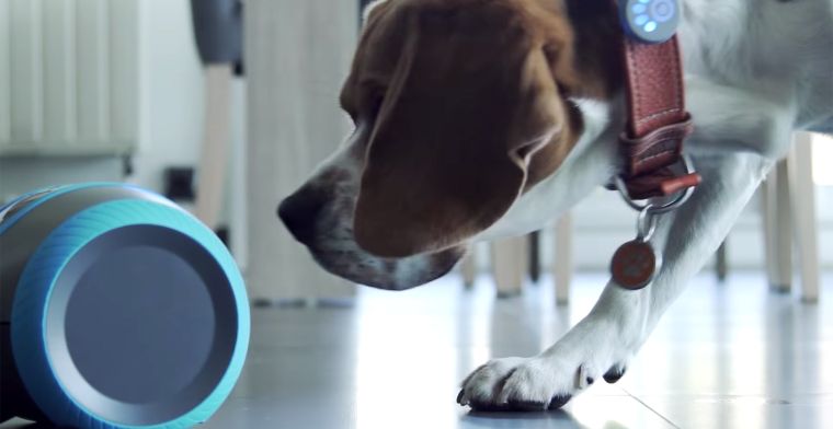 Robotje laat je op afstand tegen je hond praten