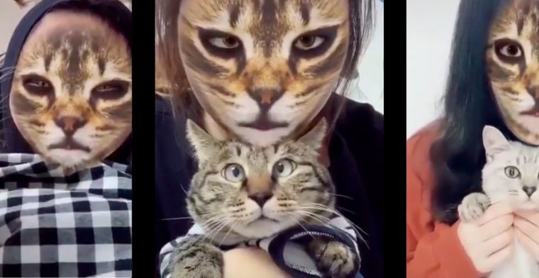 Kattenfilter Snapchat brengt menig kat in verwarring
