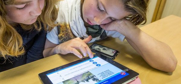 'Maak internetdiploma voor kinderen verplicht'
