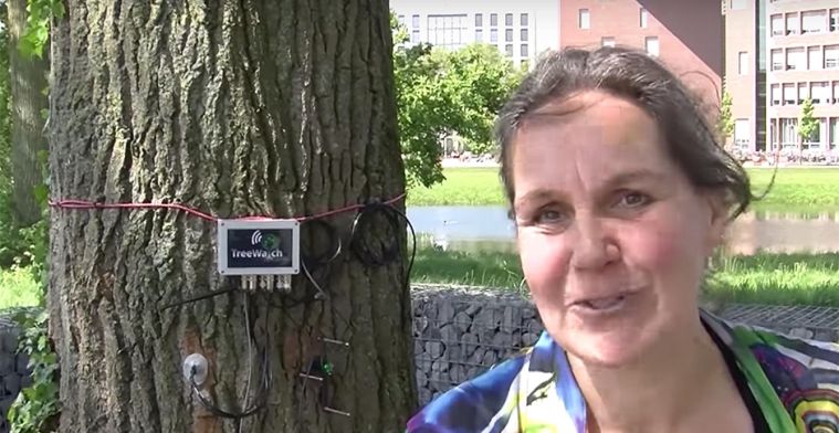 Dit is de eerste twitterende boom van Nederland