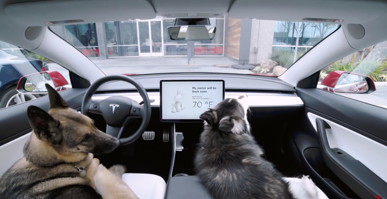 Tesla's nieuwe hondenmodus houdt viervoeters veilig