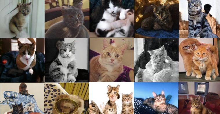Deze kattenfoto's gemaakt met AI zijn nog niet levensecht