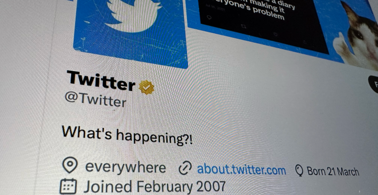 'Twitter wil bedrijven 1000 dollar per maand vragen voor goud vinkje'