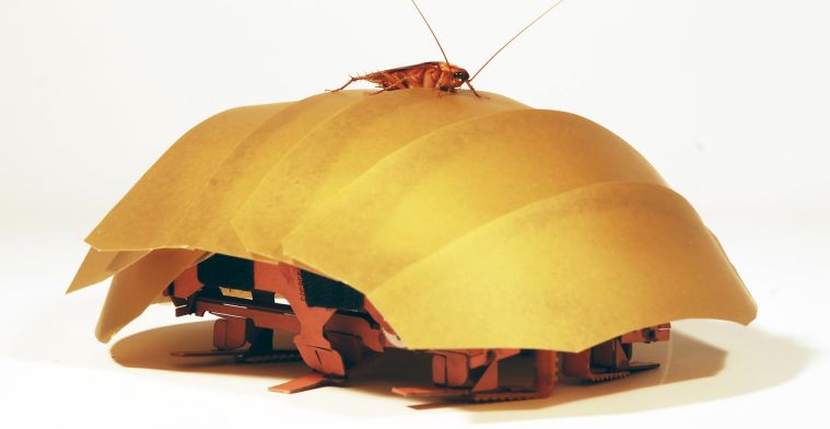 Deze 'robotkakkerlak' moet levens gaan redden