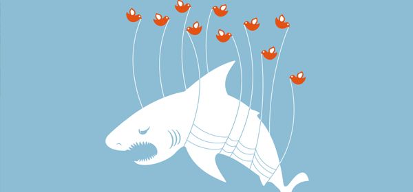 Haaien sturen tweets naar surfers en zwemmers