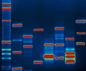 Is DNA de harddisk van de toekomst?