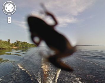 Google plaatst Amazoneregenwoud op Street View