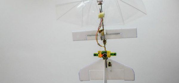 Insectrobot TU Delft vliegt zelfstandig door de kas