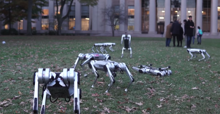Video: deze robotdieren zijn dolblij om buiten te mogen spelen