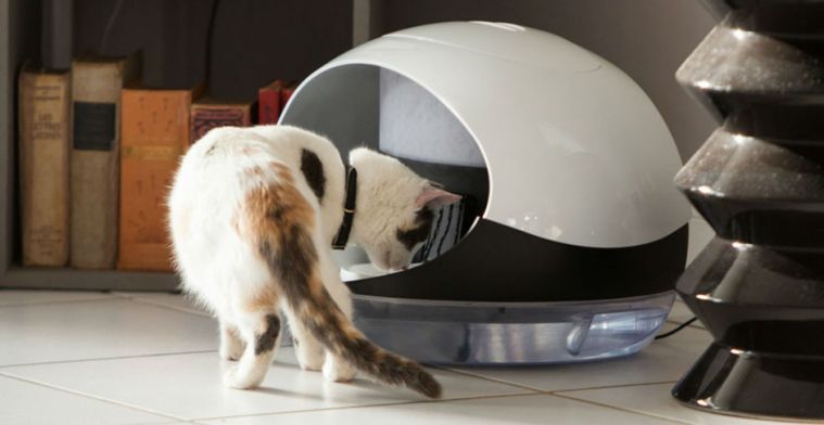 Slimme kattenvoerbak weet wat je kat eet