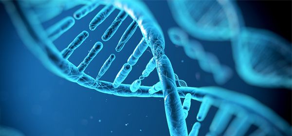 DNA, ideaal spul voor langdurige data-opslag