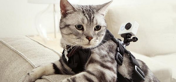 Xiaomi richt pijlen op GoPro met eigen actiecamera