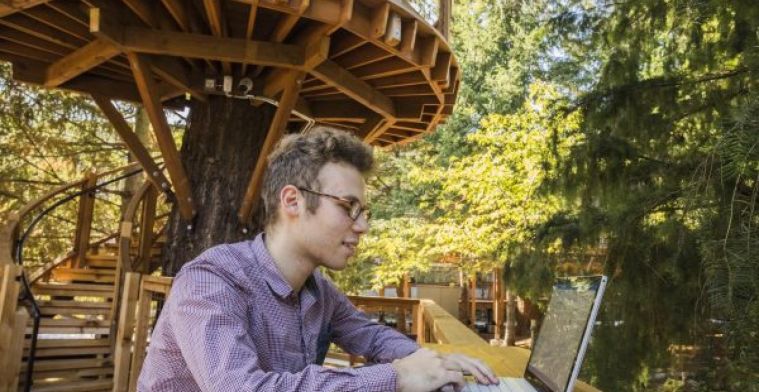 Microsoft bouwt boomhutten voor zijn werknemers