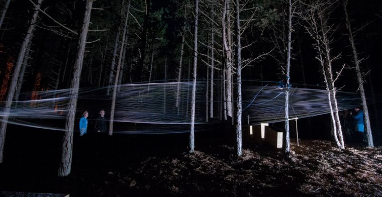 Techkunst in een donker bos op Vlieland