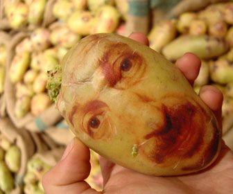 Potato portraits