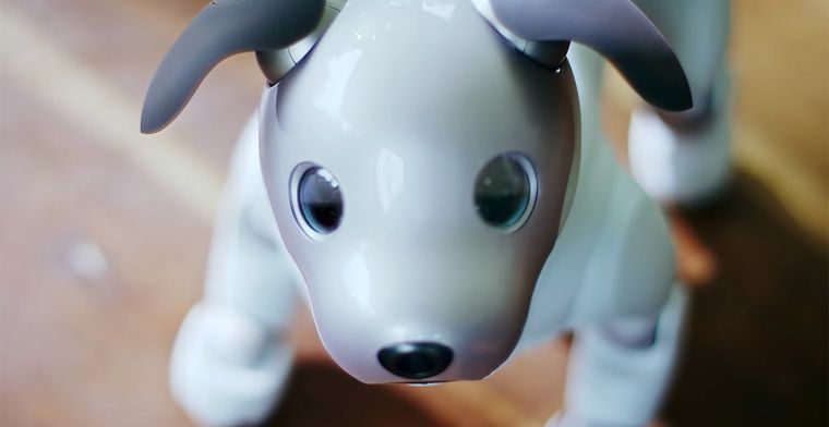 Grote vraag naar robothond Aibo, productie opgevoerd