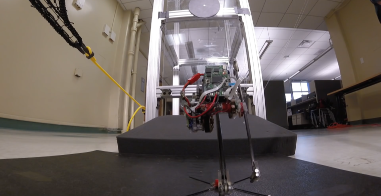 Video: de snelst springende robot tot nu toe