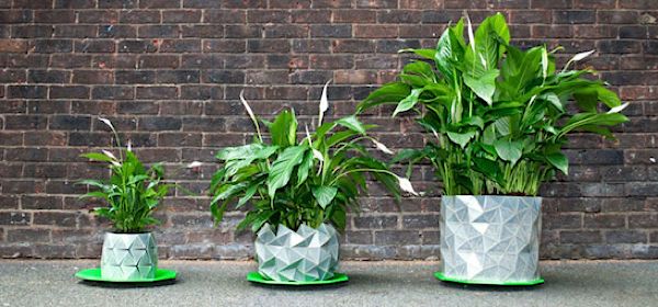 Origami-pot groeit mee met je plant