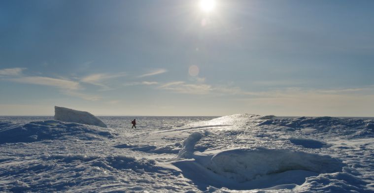 'Virtuele wandeling op Antarctica vermindert brandende pijn'