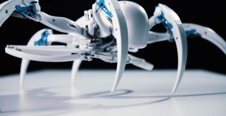 Video: rollende robotspin en drone-vleermuis