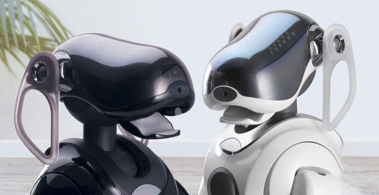 'Nieuwe robothond Sony in november gepresenteerd'