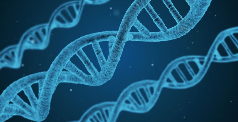 Wetenschappers bewijzen: supersnelle DNA-computer is mogelijk