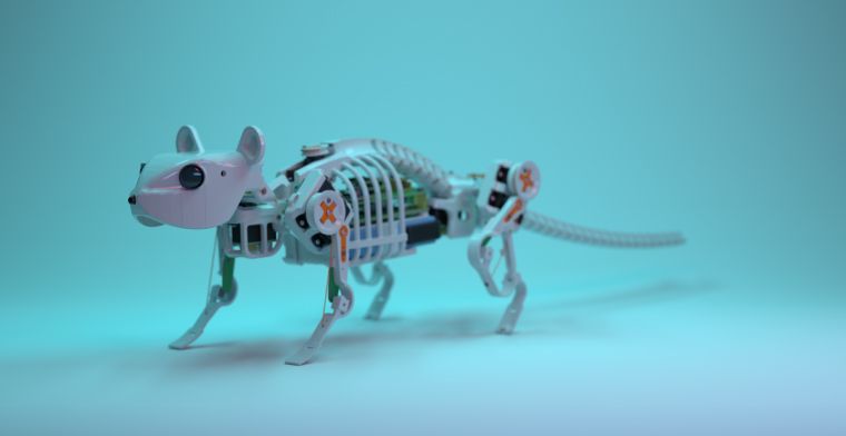 De eerste robotmuis met ruggengraat: 'Dit maakt robots veel beter en sneller'