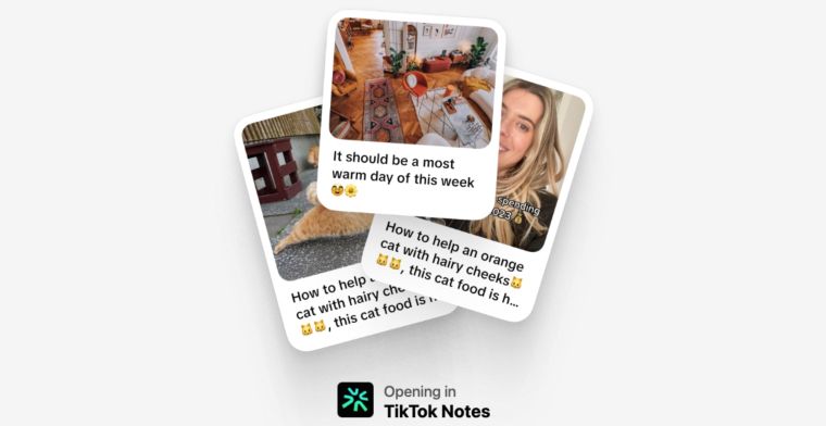 TikTok doet een Metaatje en komt met kloon van Instagram